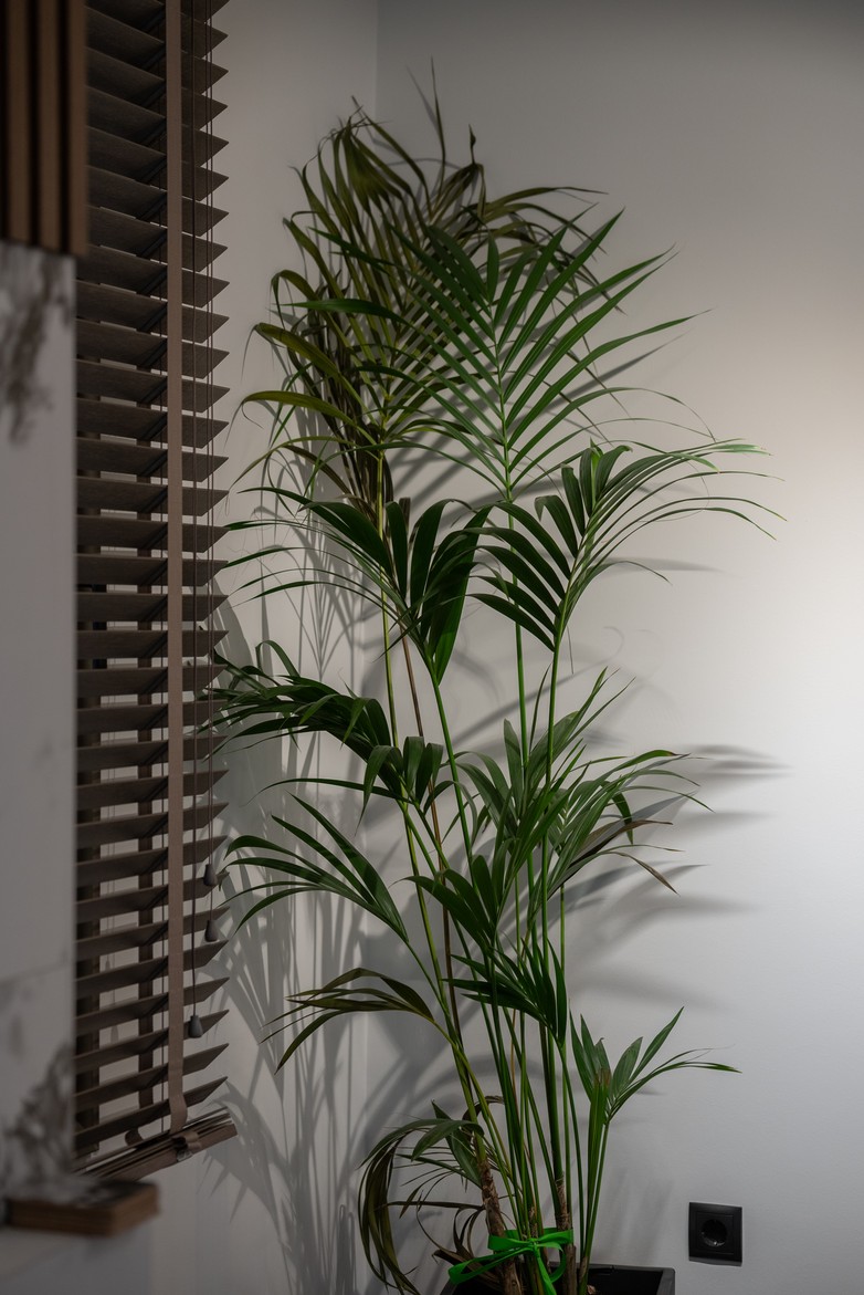 Ανακαίνιση Οικογενειακής Κατοικίας – Έμφαση στην Εργονομία και την Ποιότητα • Σέρρες • 19